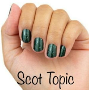 🔥NWT🔥 Color Street Scot Topic